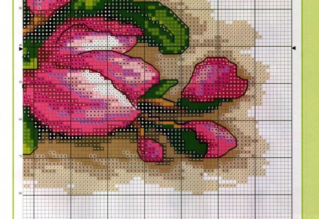 cross stich picture magnolias flowers (3)