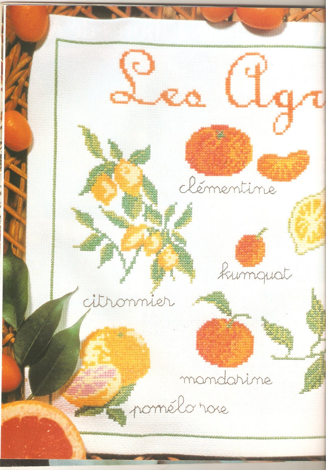 cross stitch pattern fruit in the kitchen (3)