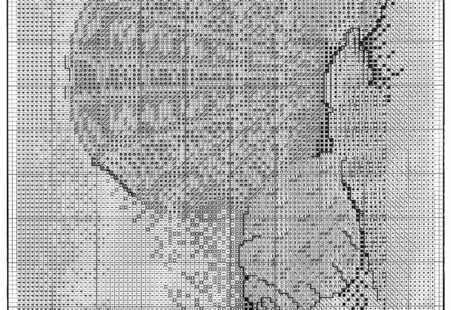 cross stitch picture with shells (2)