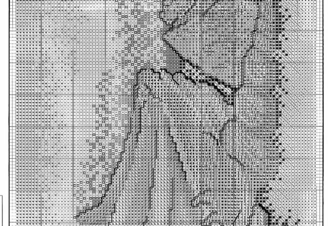 cross stitch picture with shells (3)