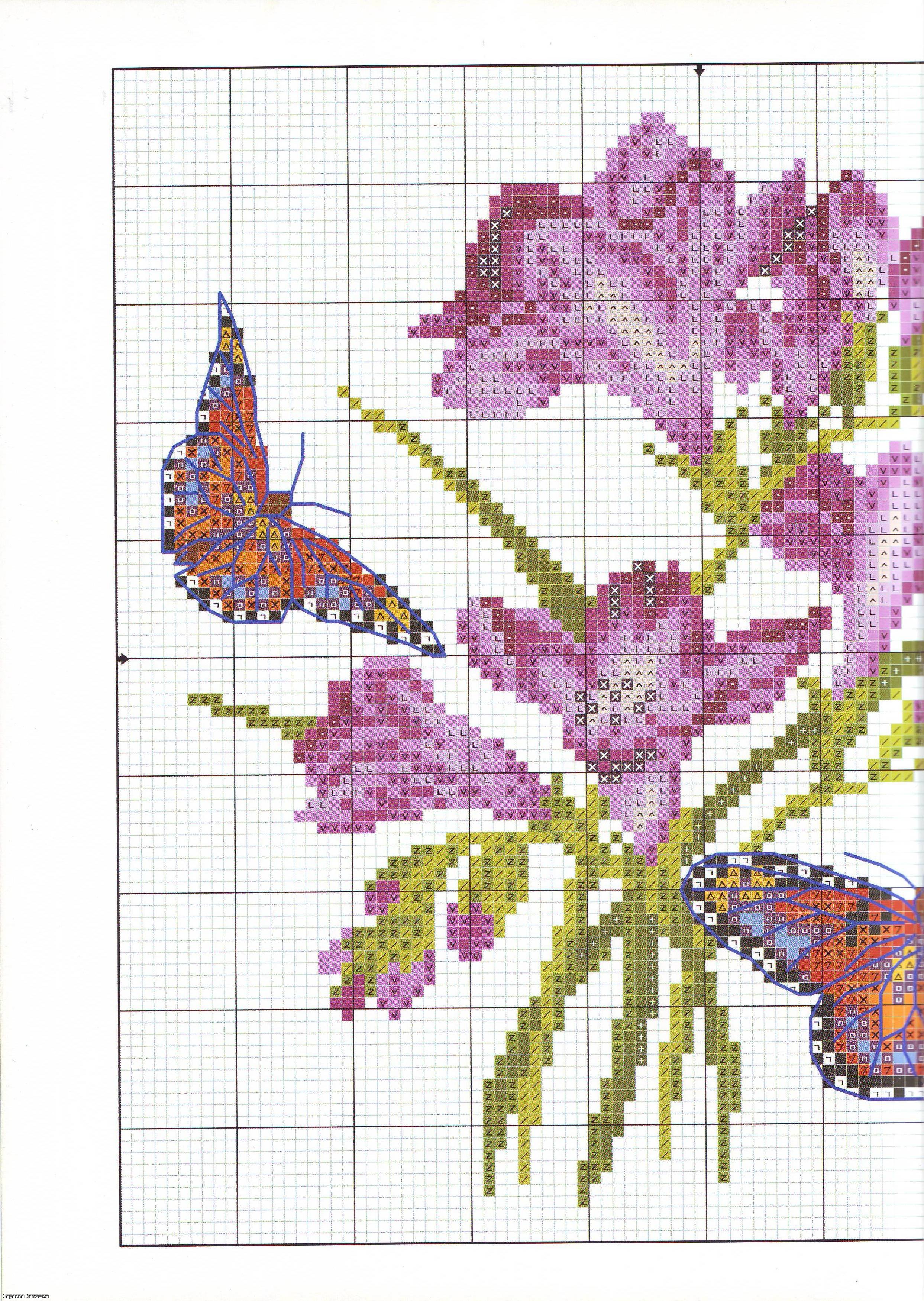 cushion freesias and butterflies (3)