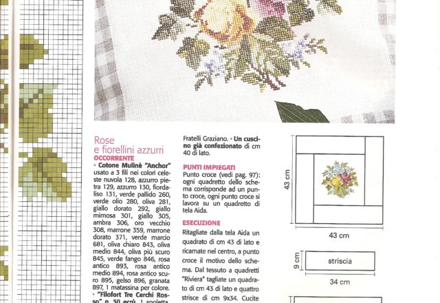 cushion roses of Provence (3)