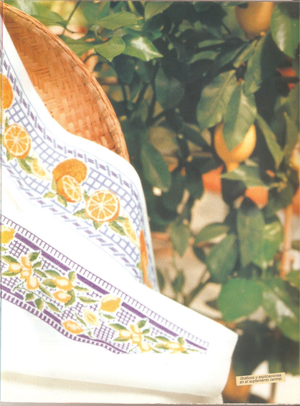 orange and fruits cross stitch border (2)