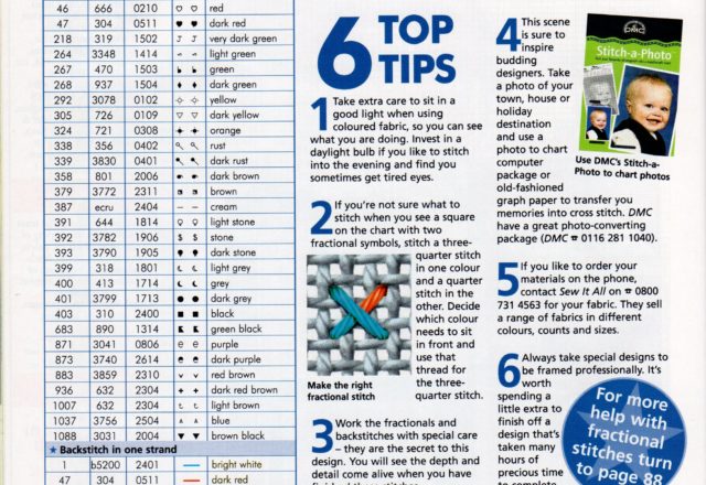 picture christmas landscape (4)