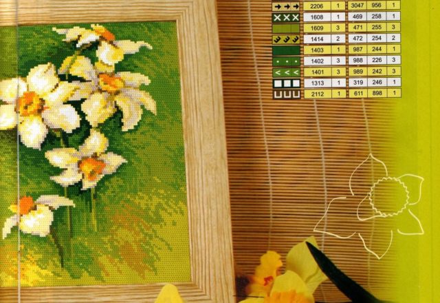 picture daffodils flowers (1)