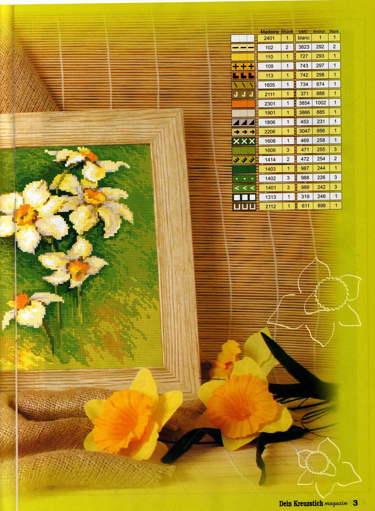 picture daffodils flowers (1)