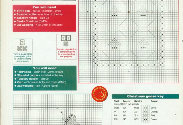 picture pattern with christmas trees and goose dressed in winter