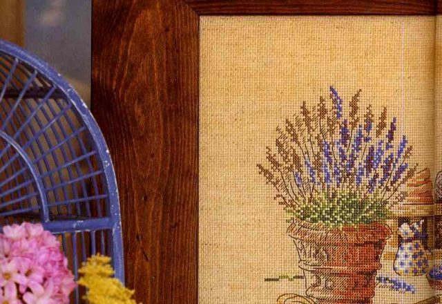 picture pots of lavender (1)