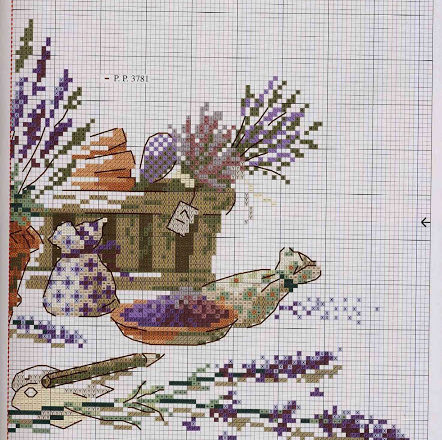 picture pots of lavender (2)