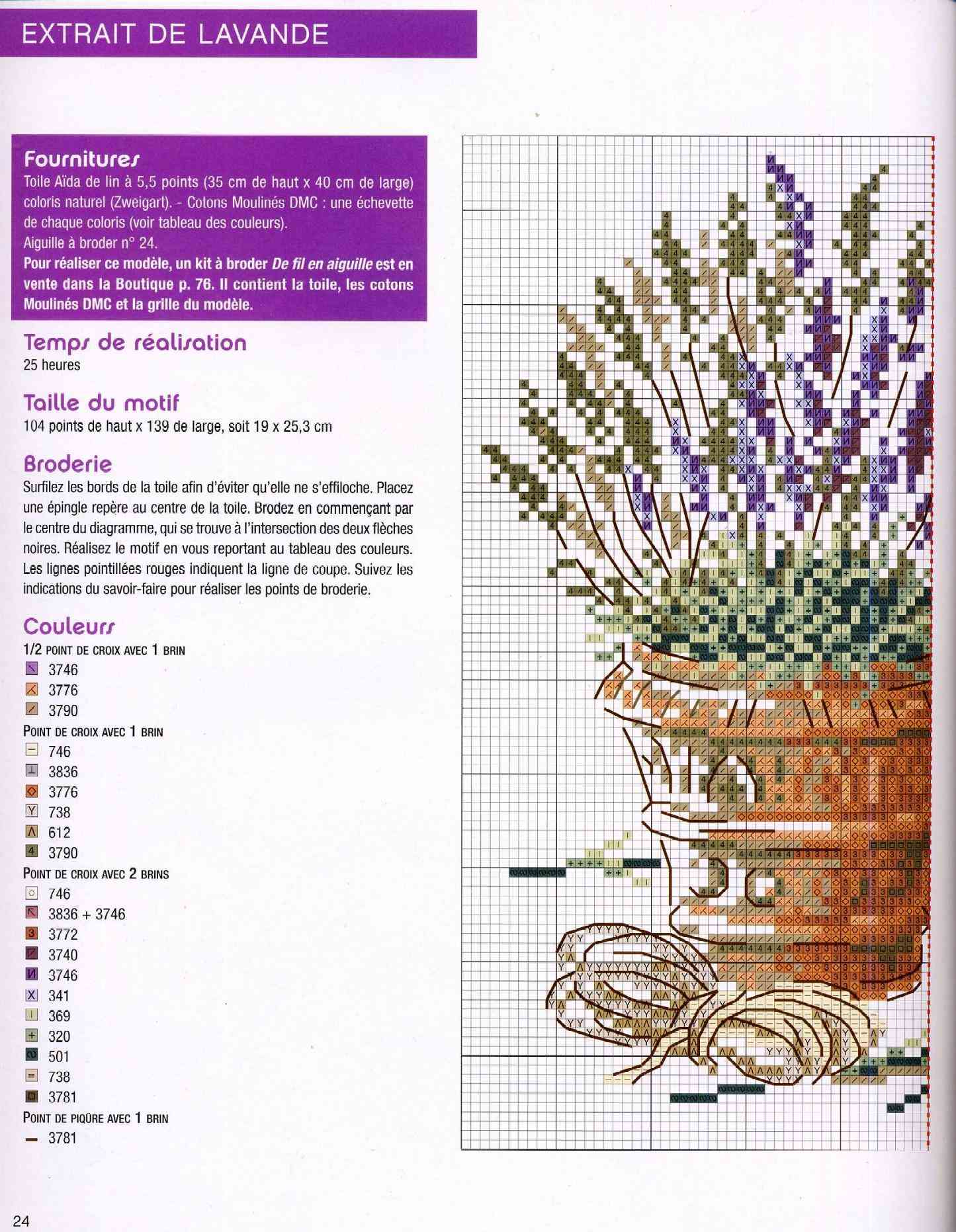 picture pots of lavender (3)