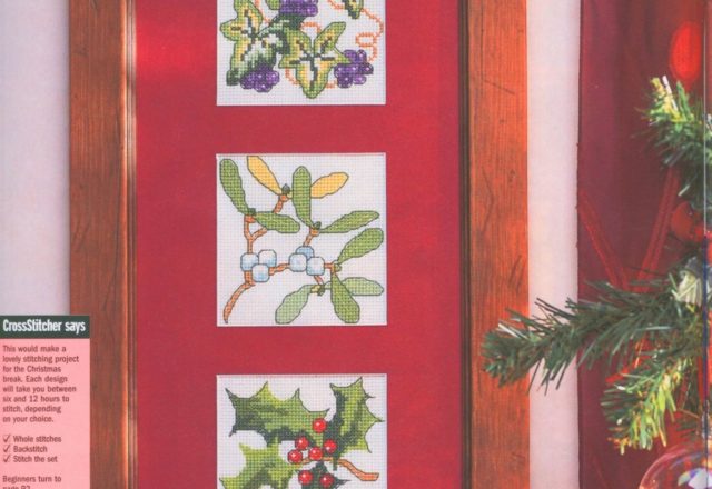 picture with Christmas plants (1)