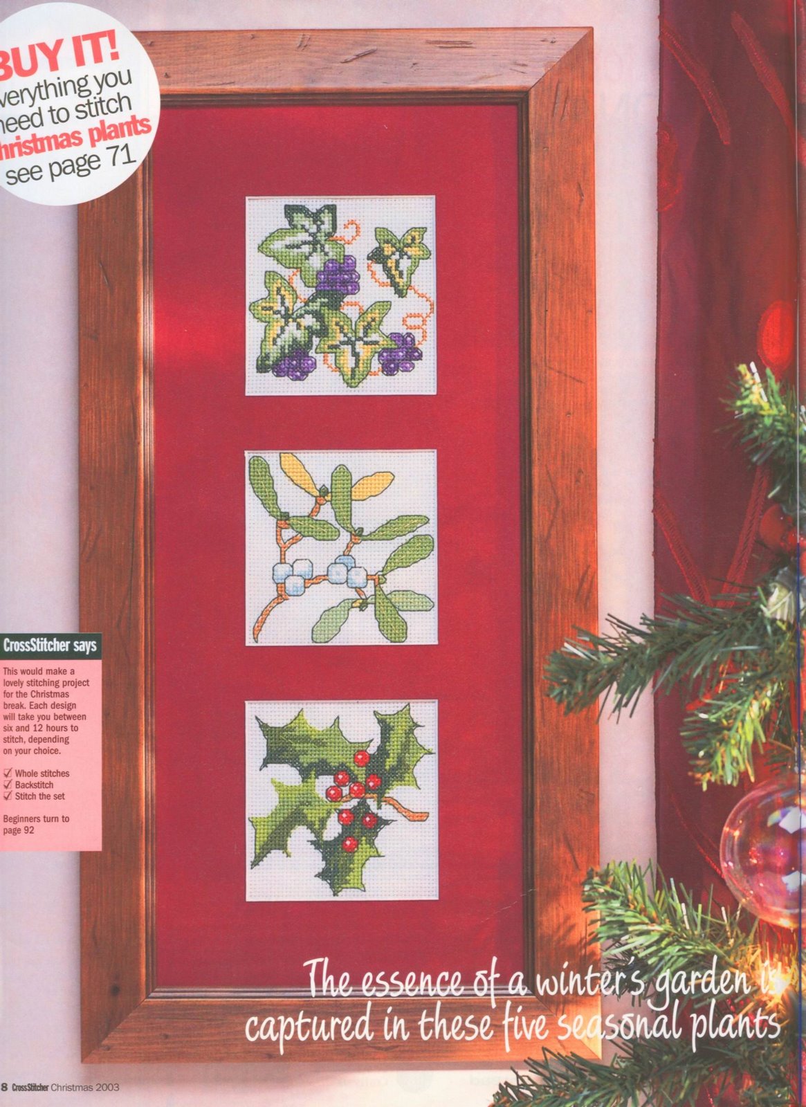 picture with Christmas plants (1)