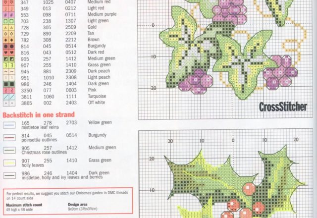 picture with Christmas plants (2)