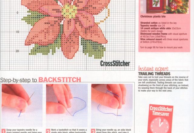 picture with Christmas plants (3)