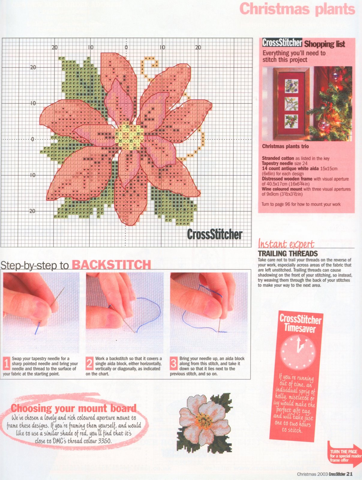 picture with Christmas plants (3)