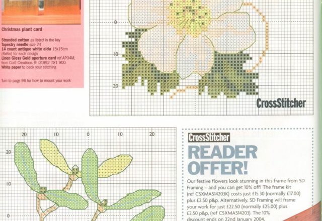 picture with Christmas plants (4)