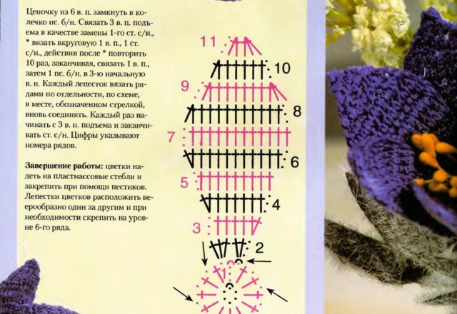 simple violet flower