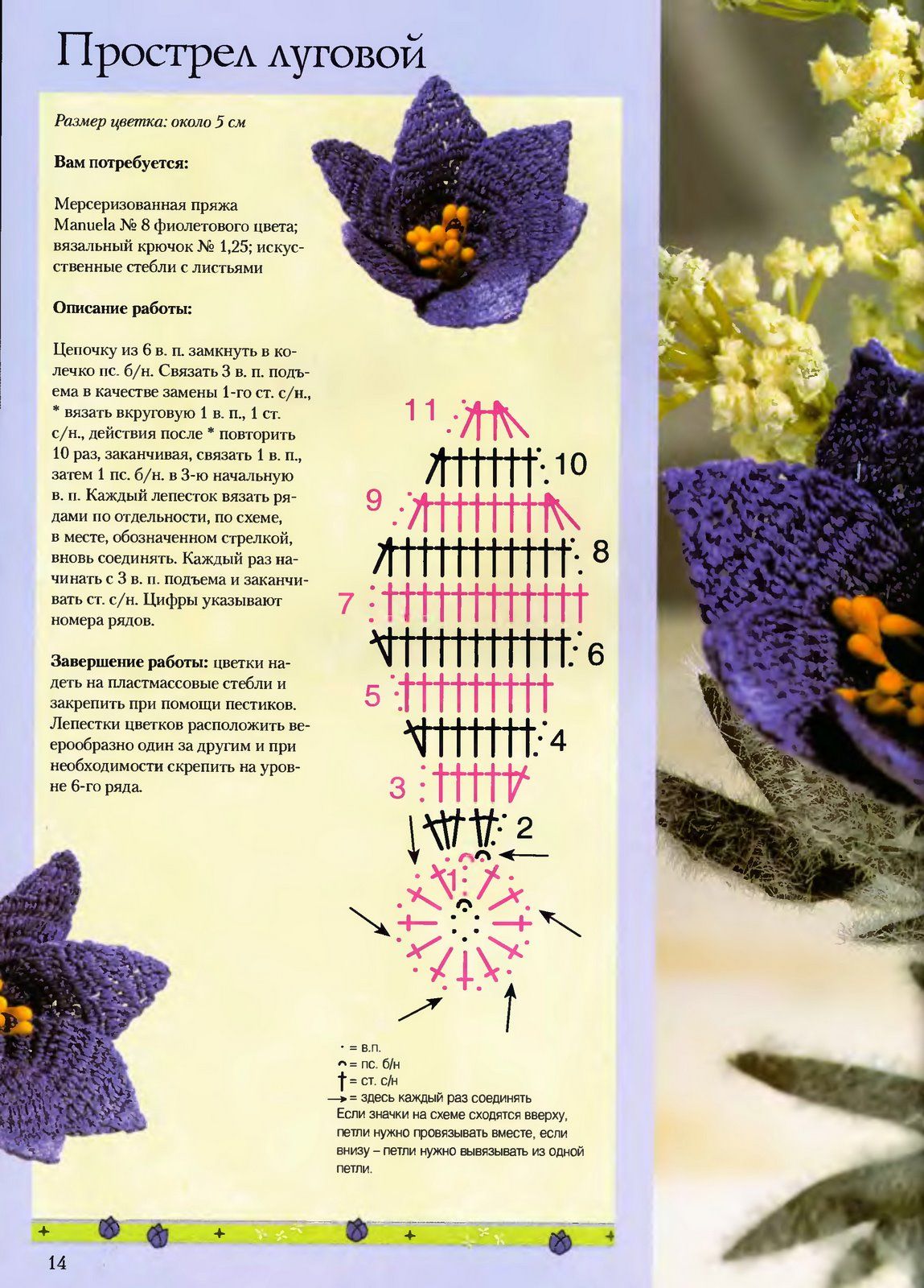 simple violet flower