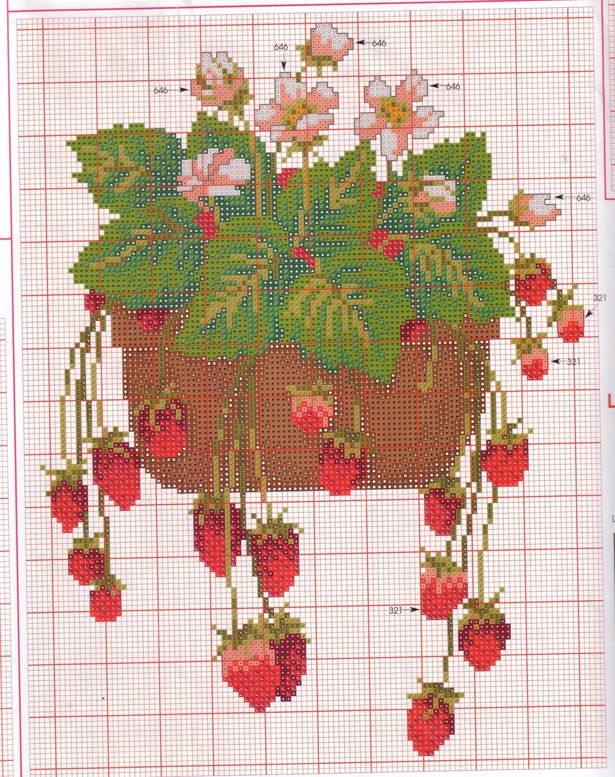 strawberry fruit in pots