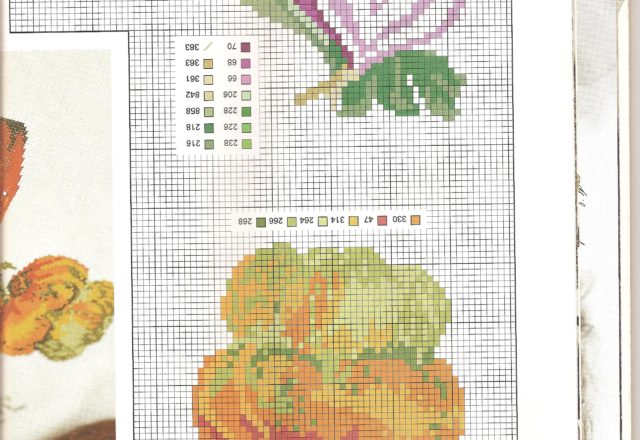 vegetables peppers celery onions pumpkin (1)