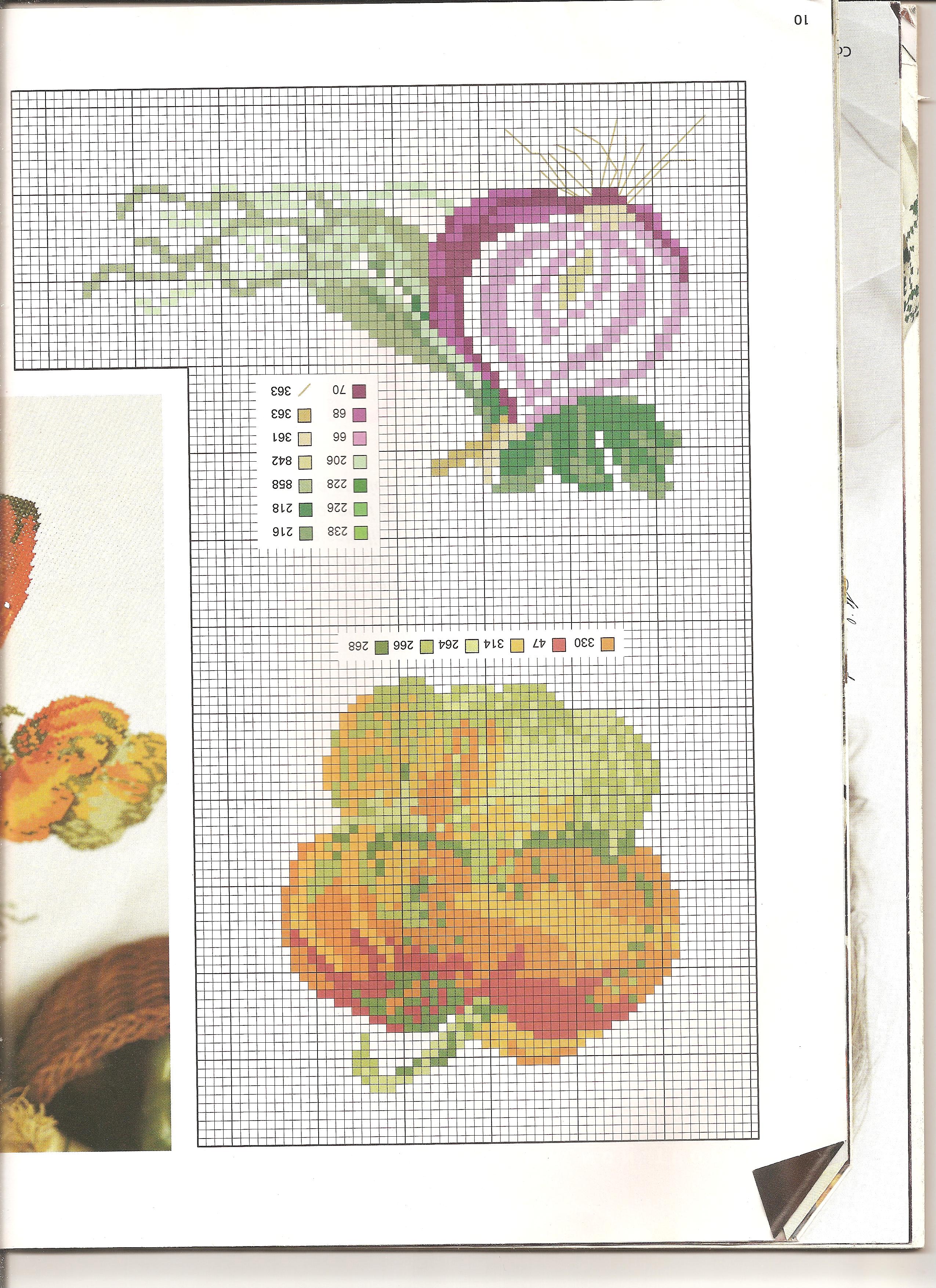 vegetables peppers celery onions pumpkin (1)