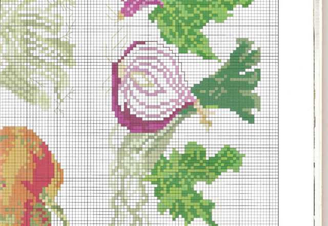 vegetables peppers celery onions pumpkin (2)